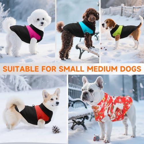 Ledeak Winter Warm Pet Hund Kleidung, Hundemantel Wasserdicht Winddichter, Hundejacke Wintermantel, Welpen Hunde Weste Bekleidung Kleidung, Winterjacke Baumwolle für Mittel und Kleine Hunde (Blau, M)