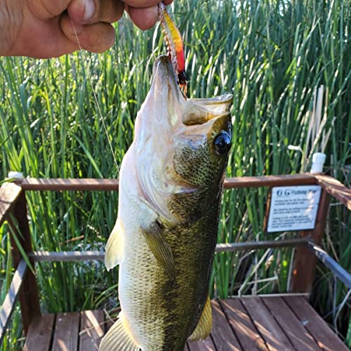 Goture Soft Shrimp Lures Fishing Saltwater Luminous Shrimp Bait Set Fishing Lures with Sharp Hooks for Freshwater Saltwater Trout Bass Salmon Crappie Walleye Pike Perch, Pack of 9