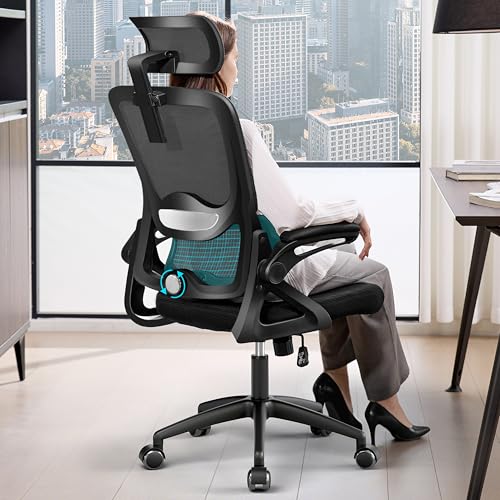 Nexthro Ergonomic Office Chair,Mesh Office Chair with Lumbar Support,High Back Desk Chair with Flip-up Arms,400 lbs Big and Tall Computer Chair with Headrest,Comfy Desk Chairs (Black)