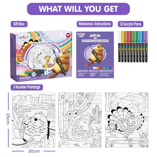 Image of SNEILJOY Paint by Numbers Kit for Kids Ages 4-12, 3 Pack Canvas Set