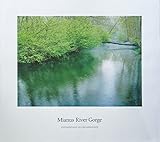 Mianus River Gorge