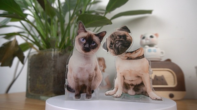 Bobblehead Personalizzato Con Foto - Ornamento Oscillante Per Auto O Scrivania - Foto 4