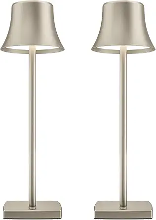 2 Pack LED Cordless Table Lamps Rechargeable,5000mAh Battery Operated Table Light,3 Color Stepless Dimming,Portable Small Desk Lamp in Aluminum for Party Patio Restaurant Indoor/Outdoor(Silver)