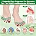 FOYOLO Toe Separator Toe Spacers W/Colorful 5-Loops Gel Spreader Stretchers for Bunion Bunionette Correcting-Feet Pain Relief-Toes Splints Fights Overlapping Hammer Toes (1 Pair W/Punch-Green & Pink)