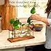 Plant Terrarium with Wooden Stand, The Ultimate Gift for Plant Lovers, Propagation Station with Retro Glass Bulbs, Creating a Stunning Tabletop Display of Hydroponic Greenery in Any Home or Office