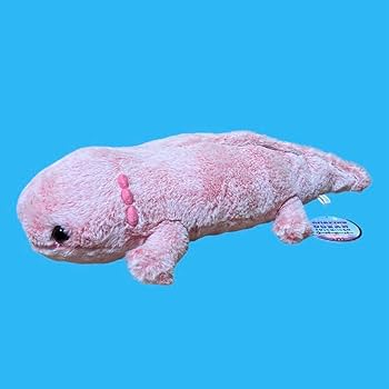 Amazon.co.jp: オオサンショウウオ ウーパールーパー BIG