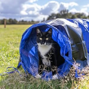 TRIXIE Dog Agility Tunnel– Dog Tunnel for Small Dogs or Cats Agility Training, Portable Dog Tunnel 78.7 in Long & 15.7 in Diameter, Dog Agility Equipment for Beginners & Advanced