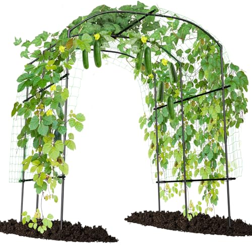 DoCred Large Garden Arch Trellis for Climbing Plants