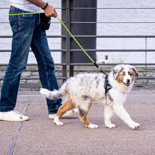 Image of PAWPRO HANDMADE 5 Ft Heavy‑Duty Reflective Dog Leash - Soft Padded Handle + 360 Swivel Clip - Strong Nylon Rope, Tangle‑Free, Safe Night Walks - Ideal for, Medium & Large Dogs (Slime Sprint, 5 Feet)