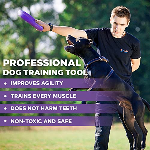 PULLER Midi Interaktives Hundespielzeug Fitness-Tool-Set