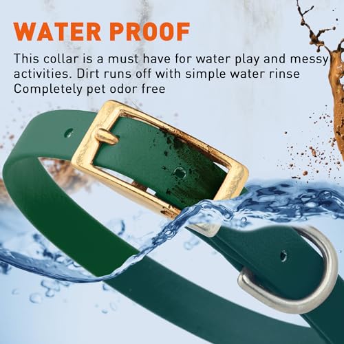 Image of Viper Biothane Heavy Duty Waterproof Dog Collar Strong Coated Nylon Webbing w /Solid Brass Hardware Odor-Proof Easy to Clean High Performance Fits Small Medium or Large Dogs, Hunter Green