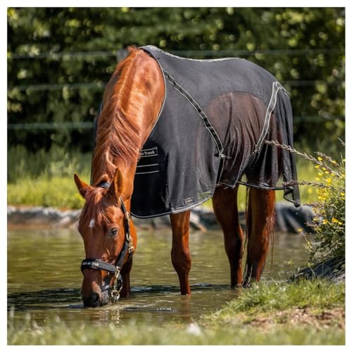 Back on Track Welltex® Cooler Decke Sienna (165 cm)