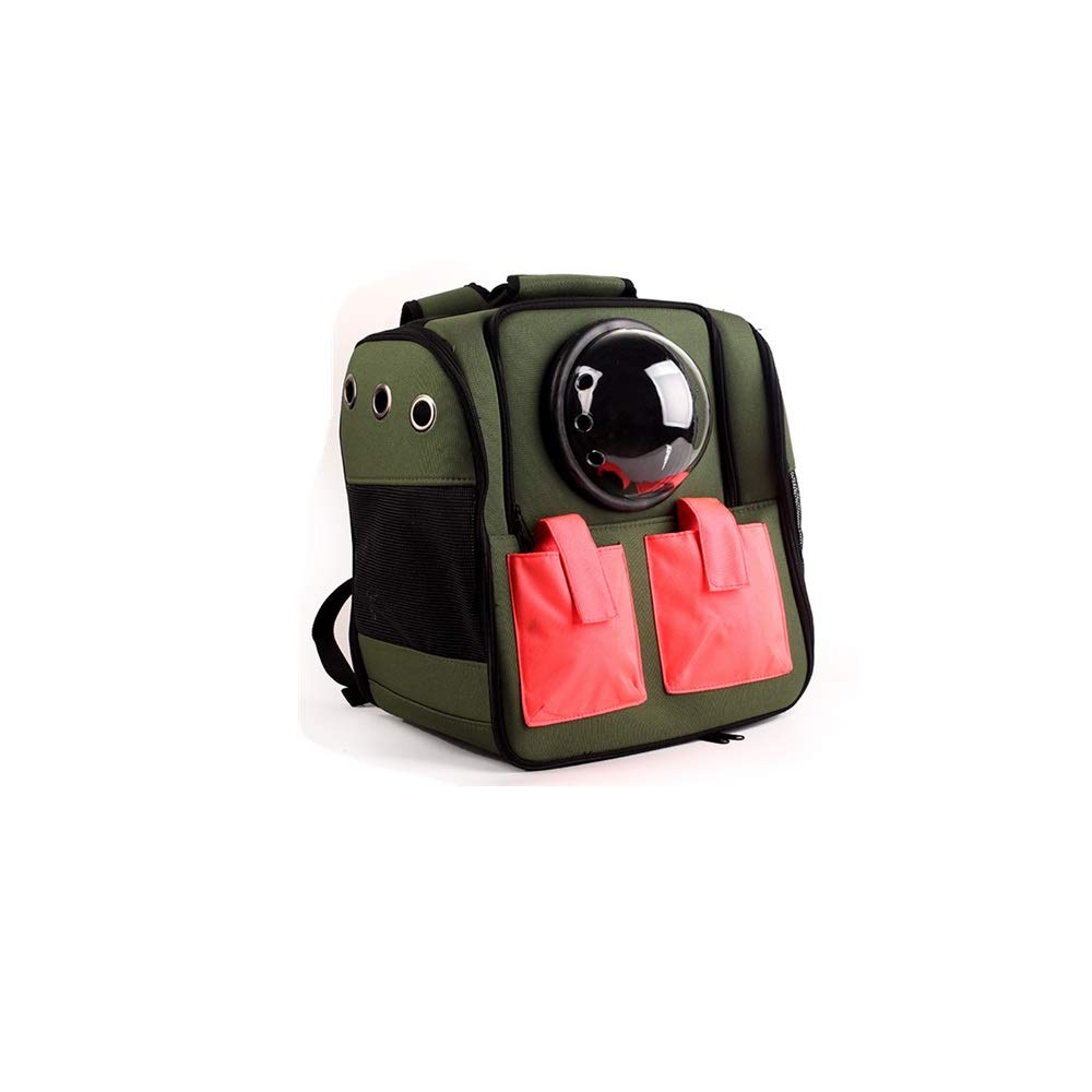 Borsa per Animali Gatto e spalla cane all'aperto borsa da viaggio ventilate visibile Pet Borsa for il trasporto per i Viaggi Giornalieri(verde)