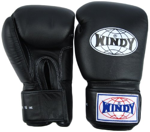 Windy Thai Style Training Gloves-14oz.-All Black