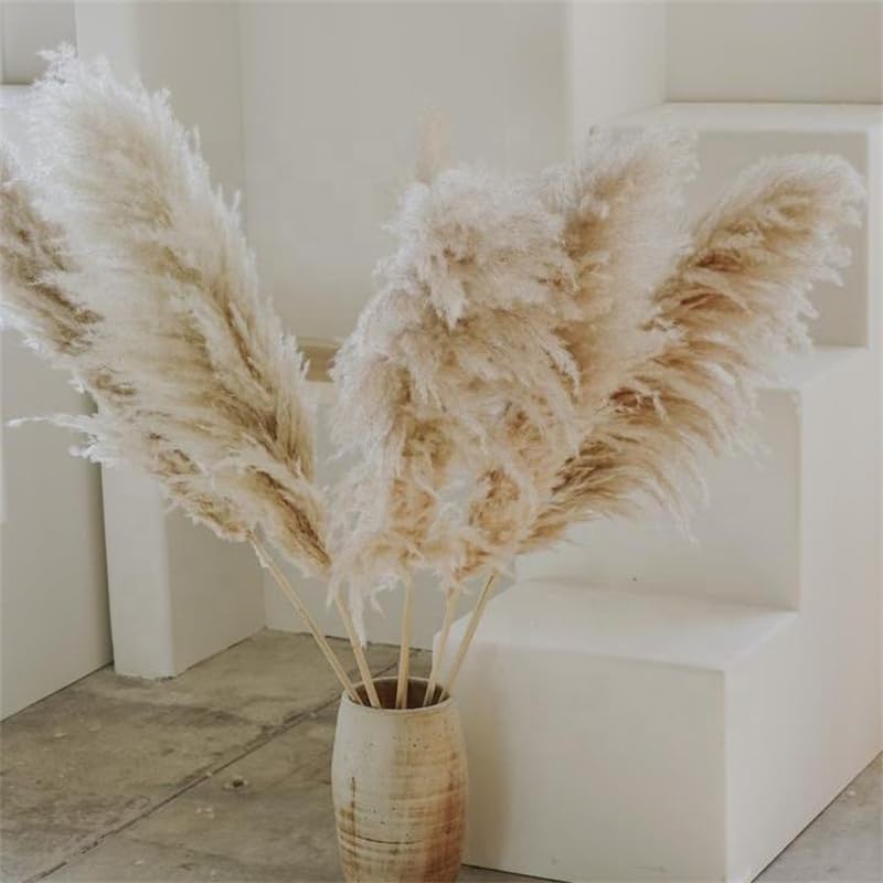Arreglo de Flores de Pasto de Pampas Seco Grande 10pcs miniatura 4