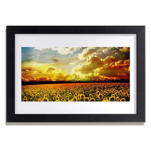 Affiche encadrée 30x20 cm terrain de tournesols avec cadre en MDF pour décoration murale