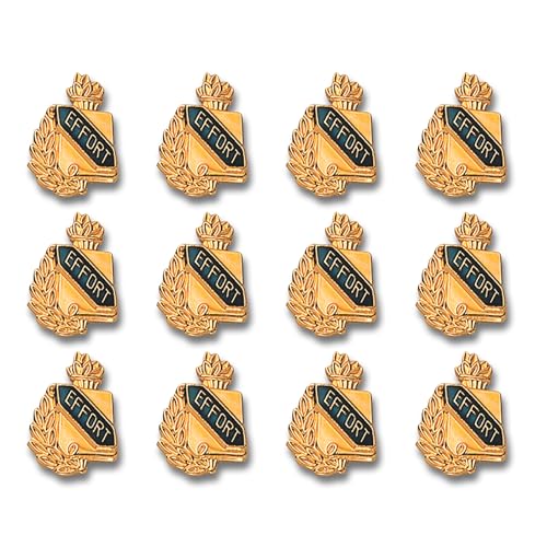 Image of SHOP AWARDS AND GIFTS EP Series Academic Honors 5 /8 Inch Lapel Pins