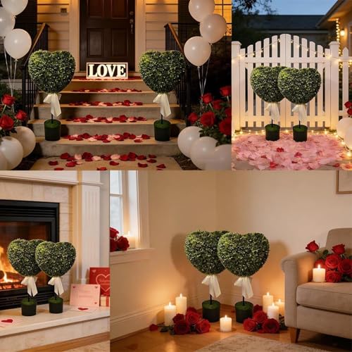 Topiaire en forme de cœur : une décoration botanique inspirée de la Saint-Valentin - 6