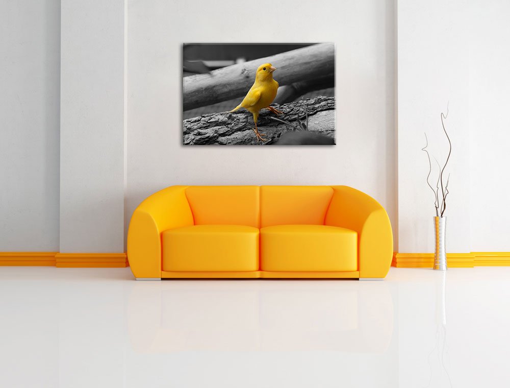 Pixxprint canarino meno vigile Stampa su tela 120x80 cm artistica murale