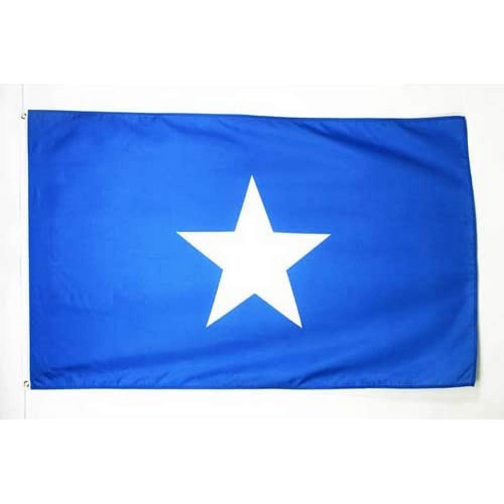 AZ FLAG - Somalia Flag - 2x3 Ft - 100D Polyester Somali Banner with Two Metal Grommets - Fade Resistant - Vivid Colors - 2' x 3' Feet - 90x60 Cm