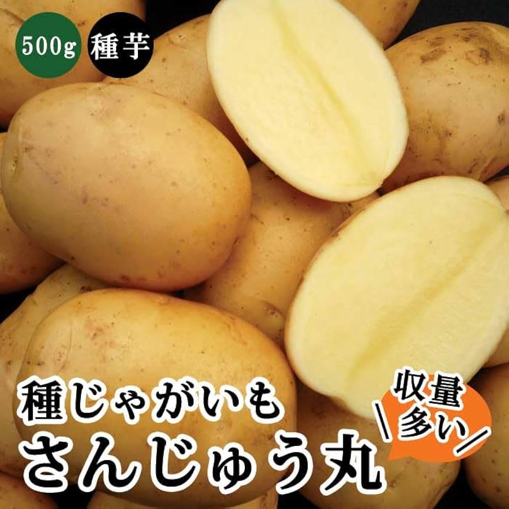 じゃがいも じゃがいも・ながさき黄金| 種・苗・ガーデニング用品の【タキイ