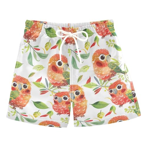 Cute Chubby Parrots Boys Swim Trunks Toddler Shorts Swimwear Boardshorts