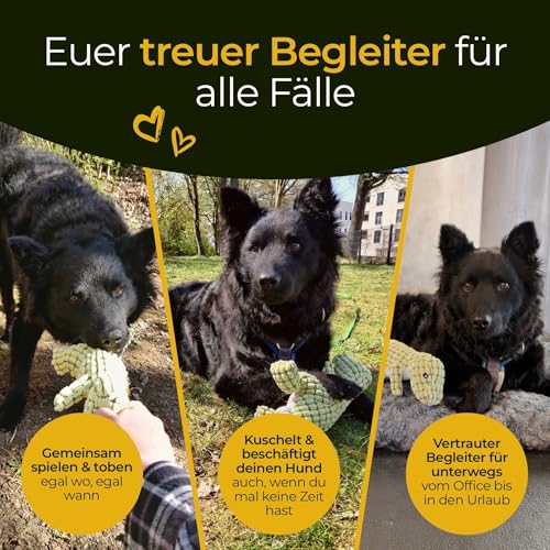 Hundpur Plüschtier Dino Grün - Kuscheltier für Hunde - mit Quietscher - Hundespielzeug - Langlebig & Reißfest - für alle Rassen & Größen