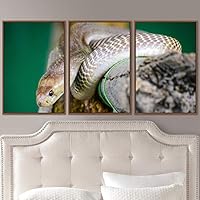 3 Piece Framed Canvas Wall Art Snakes Canvas Prints Home Artwork Decoration for Living Room,Bedroom - 16