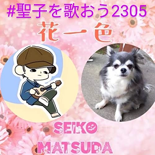 [＃聖子を歌おう2305]花一色🌸Naoさん🌳とコラボ💚🎶
