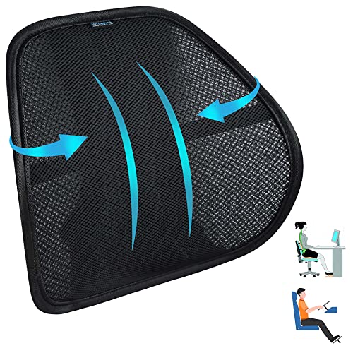 Easy Posture Lumbar Back Support Mesh