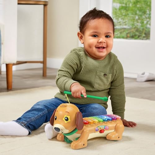 VTech Zoo Jamz Doggy Xylophone - image 4