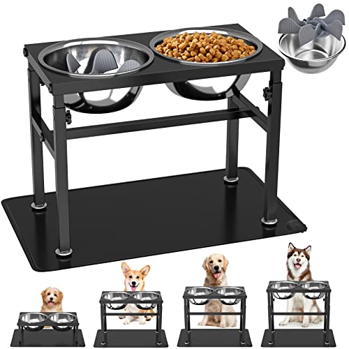 Top 10 Elevated Dog Food Stands to Improve Your Pup's Mealtime Review and Buying Guide Furry