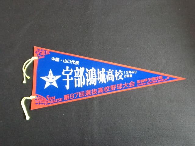 高校野球 甲子園 記念ペナント まとめ売り 11枚 Amazon.co.jp: 高校野球ペナント 1 第87回選抜高校野球大会 宇部鴻城