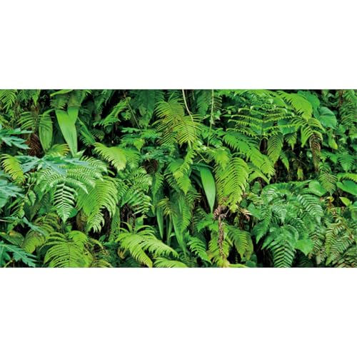 AWERT 48x24 inches Tropical Plants Terrarium...