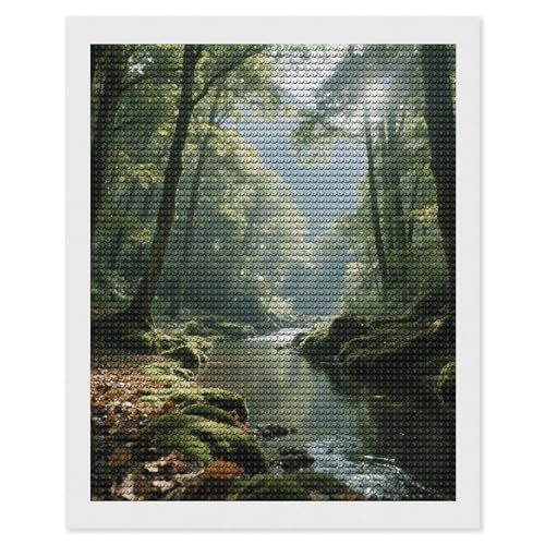 Kit de peinture diamant 5D maccbn adulte débutant broderie diamant strass forêt de montagne 40x50