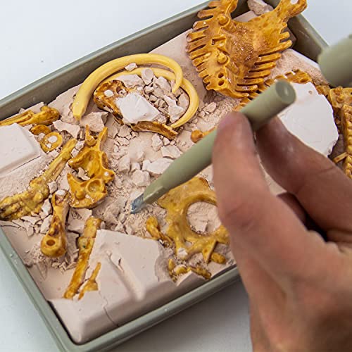 Science4you Mammut Dino Ausgrabungsset Kinder +6 - Archäologie Set Für Kinder mit 17 Teilen, Grab Dein Dinosaurier Spielzeug - Experimentierkasten, Kinder +6 Jahre – Bild 4