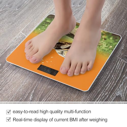 Balanza Digital de Baño JTREHY de Vidrio Templado miniatura 5