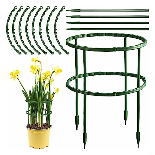 8 Pack Plant Support Frame For Garden, Half Round Garden Stakes, Plant Support for RING Cage For Peonies Monstera Hydrangeas Roses Sedum Vegetables Tomatoes 22×25cm