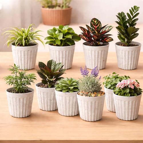 Image of Go Hooked 6 Inch Plastic Plant Pot Set of 10 | White Marble Texture Ribbed Planters, Stylish Modern Design | Decorative Indoor Outdoor Flower Pots for Balcony, Living Room, Garden, Home & Office Decor
