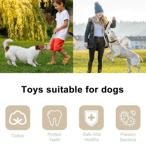 Bull Tiger Prestige 3 Stück Hundespielzeug Seil, Zerrspielzeug für Hunde aus Natürlicher Baumwolle, Interaktive Kauen Spielzeug mit Knoten Ball, Hundeseil Spielzeug für Mittelgroße Hunde kleine