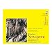 Strathmore STR-307-812 50 Sheet Rough Newsprint Pad, 12 by 18"