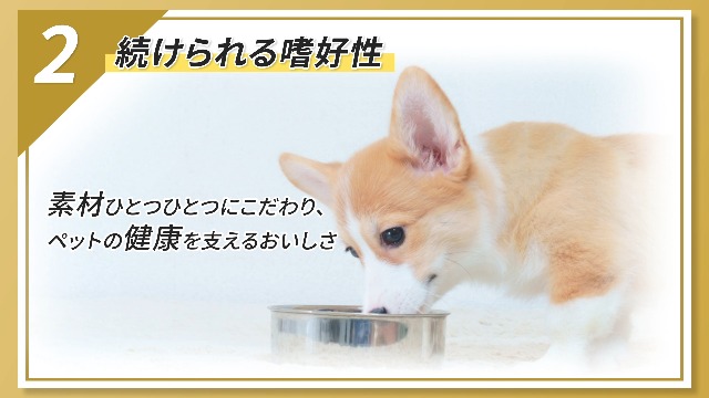 Amazon | VetsWell(ベッツウェル) 犬用食事療法食 下部尿路ケア 3kg