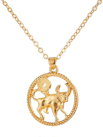 Men's Women's Stainless Steel High Polished Creative 12 Constellations Round Signet Hollow Necklace