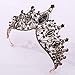 Crystal Wedding Crowns, Baroque Queen Crowns, Costume Party Hair Accessories, for Women and Girls(Black Crown)
