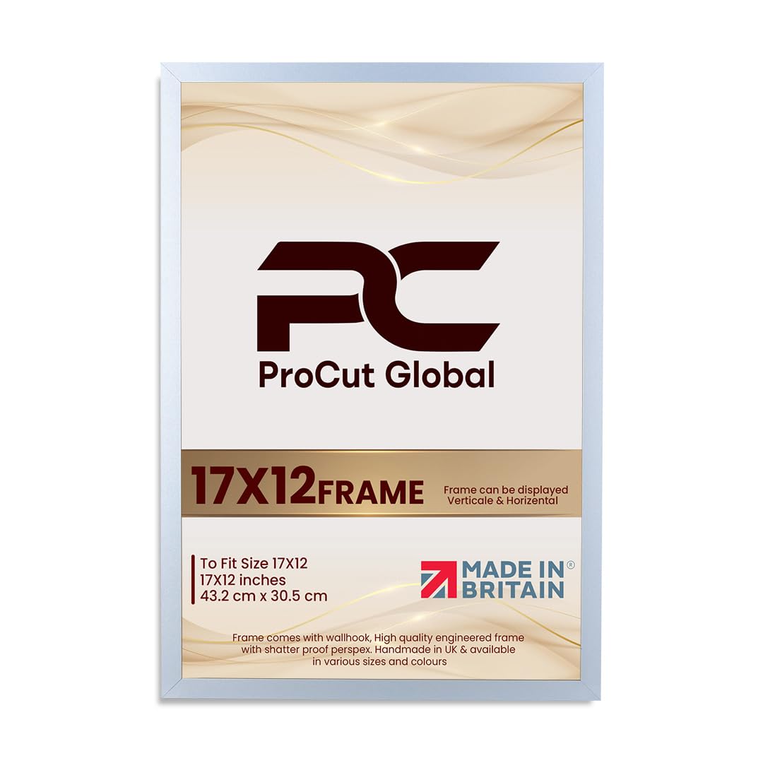 Procut Global 17X12 Silver Picture Frames – Sleek Wooden Photo Frame with Shatterproof Perspex for Wall or Tabletop – Perfect for Posters, Certificates, Prints–Multiple Sizes & Colors Available