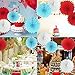 Dr Cat in The Hat Birthday Decorations Thing 1 and Thing 2 Decorations/Cat in The Hat Baby Shower Decorations/Turquoise Red Tissue Paper Fans Baseball Party Decorations/Sports Theme