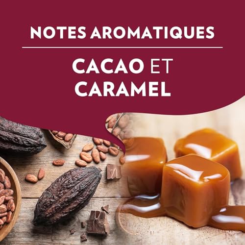 Lavazza - Lot de 2,7Kg Tales of Napoli - 6x450g - Pour les Machines à Café Automatiques, Notes de Cacao et de Caramel, Arabica et Robusta, Intensité 9/10, Torréfaction Foncée