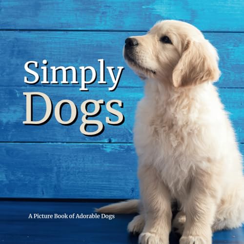 Picture Book for Seniors & Dementia Patients