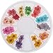 Produktbild MERSUII(R)12 Farben 3D Trockene Blume Nagelkunst Rad Dekoration Maniküre DIY Design Getrocknet