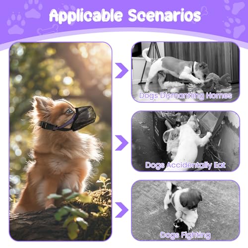 Maulkorb für Hunde Weicher Netzmaulkorb Atmungsaktiver Mesh für Kleine Hunde Reflektierende Einstellbare Hundemaulkorb zum Verhindern Fressen Lecken Bellen Ermöglicht Hecheln und Trinken (S Schwarz)